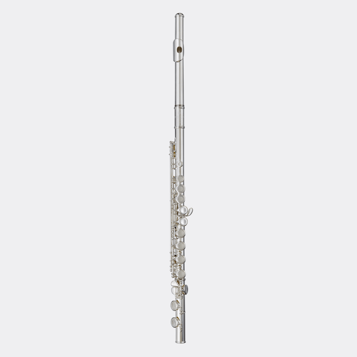 Blessing BFL1287 Flute C foot Closed hole Silver-Plate Outfit - Musical Instrument Warehouse