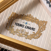 Young Chang YC152E 5’ Baby Grand Piano Ebony - Musical Instrument Warehouse
