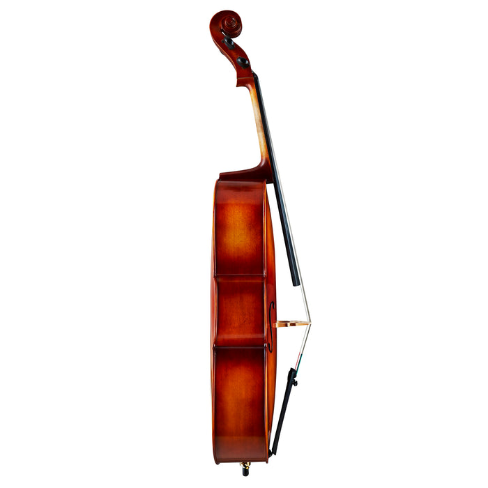 Knilling KVC1144 Sebastian Solid Top Cello 4/4 size Outfit - Musical Instrument Warehouse