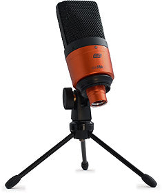 ESI cosMik 10 Professional Studio Condenser Microphone