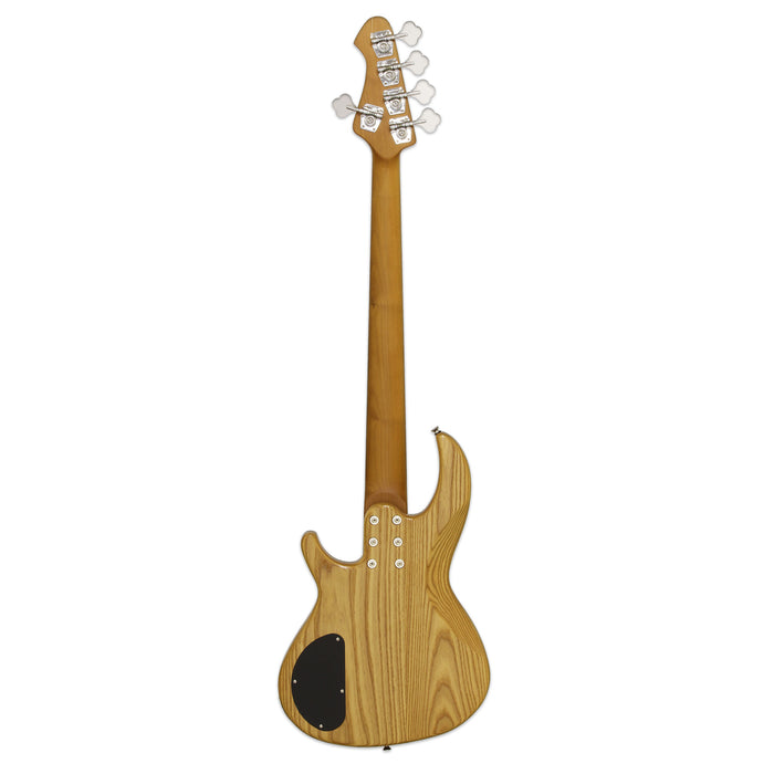 Aria Pro II 313-MK2/5-Detroit Electric Bass Guitar 5-Strings - Musical Instrument Warehouse