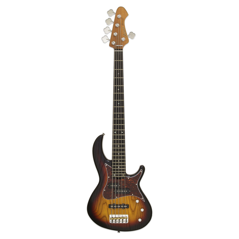 Aria Pro II 313-MK2/5-Detroit Electric Bass Guitar 5-Strings - Musical Instrument Warehouse