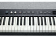 Kurzweil Ka P1 88-Key Weighted Hammer Action Digital Piano with 28 flagship Voices + Power Supply + Sustain Pedal - Musical Instrument Warehouse