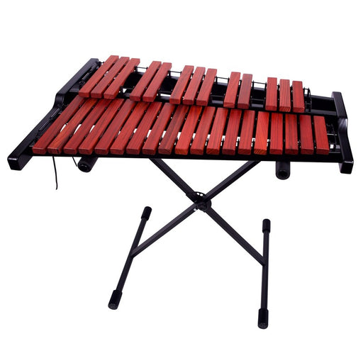 Innovative Percussion IPX125T Xylophone Kit - Musical Instrument Warehouse