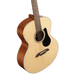 Alvarez ABT60 Artist Series Baritone Guitar - Musical Instrument Warehouse