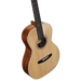 Alvarez LP60e Laureate Parlor Acoustic Electric Guitar with Gig Bag - Musical Instrument Warehouse