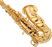 Apollo AAS-23 Student Alto Saxophone - Musical Instrument Warehouse