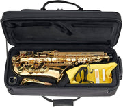 Apollo AAS-23 Student Alto Saxophone - Musical Instrument Warehouse