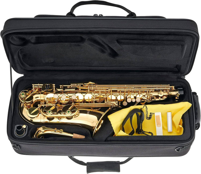 Apollo AAS-23 Student Alto Saxophone - Musical Instrument Warehouse