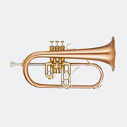Blessing BFH1541RT Flugelhorn Brushed Brass Clear Lacquer Outfit - Musical Instrument Warehouse