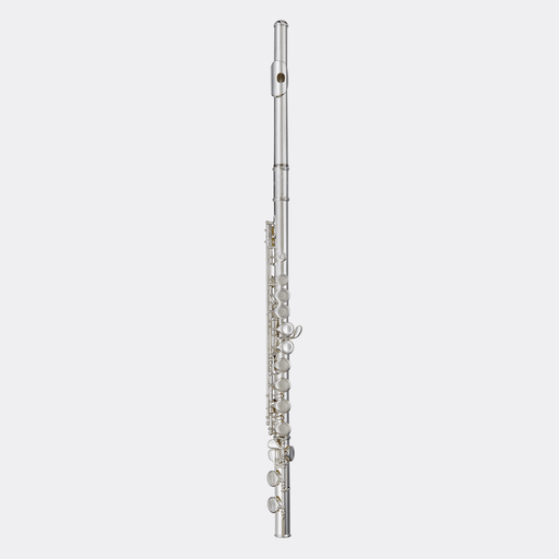 Blessing BFL1287 Flute C foot Closed hole Silver-Plate Outfit - Musical Instrument Warehouse