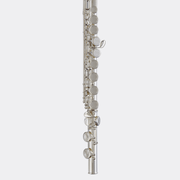 Blessing BFL1287 Flute C foot Closed hole Silver-Plate Outfit - Musical Instrument Warehouse