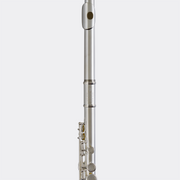 Blessing BFL1287 Flute C foot Closed hole Silver-Plate Outfit - Musical Instrument Warehouse