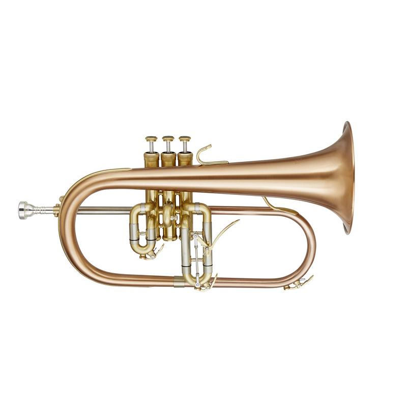 Blessing BFH1541RT Flugelhorn Brushed Brass Clear Lacquer Outfit - Musical Instrument Warehouse