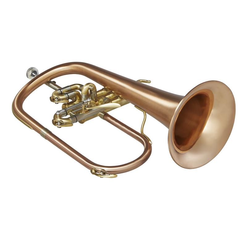 Blessing BFH1541RT Flugelhorn Brushed Brass Clear Lacquer Outfit - Musical Instrument Warehouse