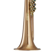 Blessing BFH1541RT Flugelhorn Brushed Brass Clear Lacquer Outfit - Musical Instrument Warehouse