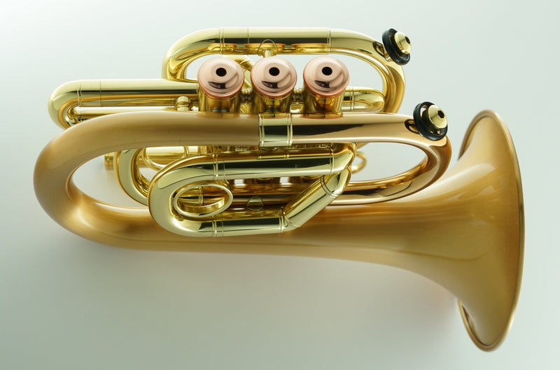 CarolBrass CPT-3002-RLM(D)-Bb-SLB Arturo Sandoval Signature Model Trumpet - Musical Instrument Warehouse