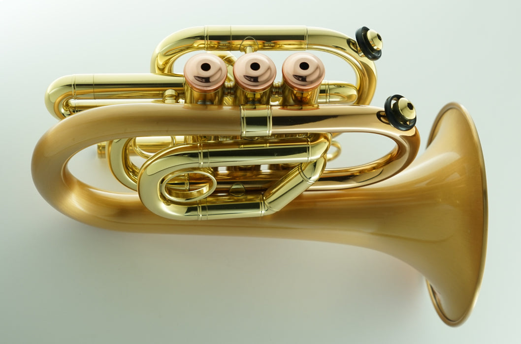 CarolBrass CPT-3002-RLM(D)-Bb-SLB Arturo Sandoval Signature Model Trumpet - Musical Instrument Warehouse