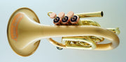 CarolBrass CPT-3002-RLM(D)-Bb-SLB Arturo Sandoval Signature Model Trumpet - Musical Instrument Warehouse