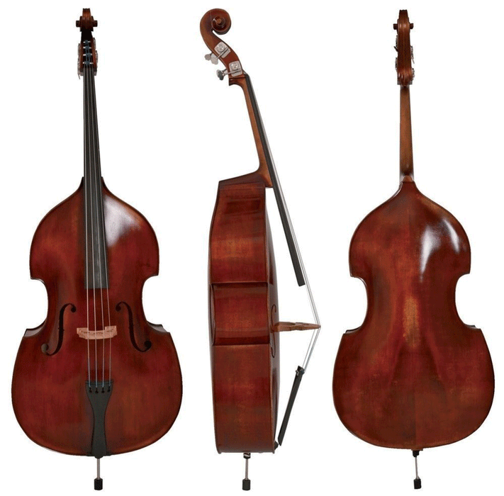 GEWA Walther 11 Rom antique Bass Gamba Shaped, Arched 5/8 - Musical Instrument Warehouse