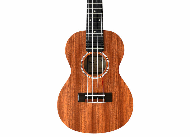 Twisted Wood PI-100S Soprano Ukulele Laminate Sapele Pioneer Series