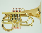 Carol Brass Pocket Flugelhorn - Taylor Phat Puppy Lacquer Finish - Musical Instrument Warehouse