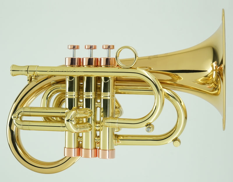 Carol Brass Pocket Flugelhorn - Taylor Phat Puppy Lacquer Finish - Musical Instrument Warehouse