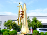 Carol Brass Pocket Flugelhorn - Taylor Phat Puppy Lacquer Finish - Musical Instrument Warehouse