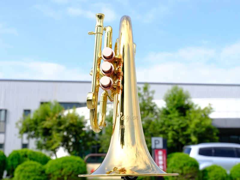 Carol Brass Pocket Flugelhorn - Taylor Phat Puppy Lacquer Finish - Musical Instrument Warehouse