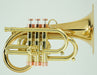 Carol Brass Pocket Flugelhorn - Taylor Phat Puppy Lacquer Finish - Musical Instrument Warehouse