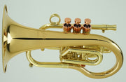 Carol Brass Pocket Flugelhorn - Taylor Phat Puppy Lacquer Finish - Musical Instrument Warehouse