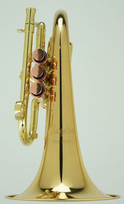 Carol Brass Pocket Flugelhorn - Taylor Phat Puppy Lacquer Finish - Musical Instrument Warehouse