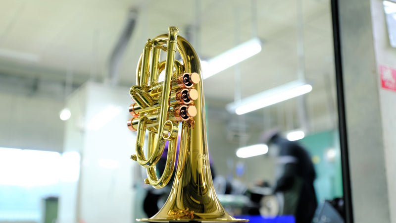 Carol Brass Pocket Flugelhorn - Taylor Phat Puppy Lacquer Finish - Musical Instrument Warehouse