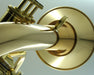 CarolBrass CFL-6200-GSS-Bb-L All Around Flugelhorn Lacquer Finish - Musical Instrument Warehouse