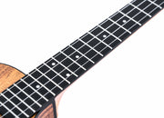 Twisted Wood SW-700T Switch Back Tenor Ukulele Solid Acacia Top - Musical Instrument Warehouse