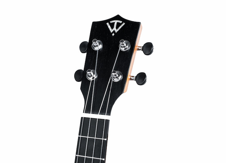 Twisted Wood SW-700T Switch Back Tenor Ukulele Solid Acacia Top - Musical Instrument Warehouse