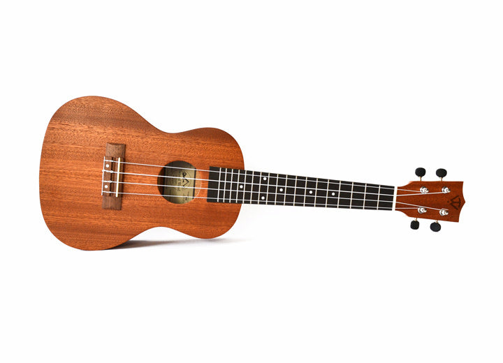 Twisted Wood TY-050T Tyro Laminate Sapele Tenor Ukulele - Musical Instrument Warehouse