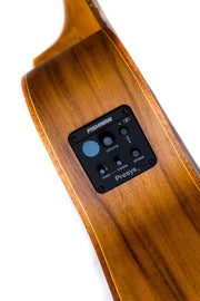 Bamboo 38" KOA Vision Acoustic Guitar With EQ FISHMAN And Gig Bag - Musical Instrument Warehouse