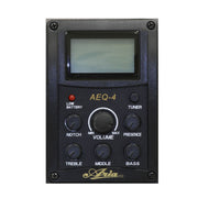 Aria FET - F2 Electro Acoustic Guitar - Musical Instrument Warehouse