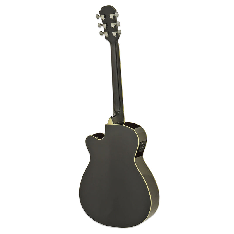 Aria AFN-15CE Acoustic Electric Guitar W/Cutaway EQ - Musical Instrument Warehouse