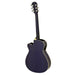 Aria AFN-15CE Acoustic Electric Guitar W/Cutaway EQ - Musical Instrument Warehouse
