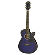 Aria AFN-15CE Acoustic Electric Guitar W/Cutaway EQ - Musical Instrument Warehouse
