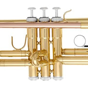Apollo ATR-300 Student Trumpet with Protective Case - Musical Instrument Warehouse