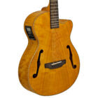 Aria FET - F2 Electro Acoustic Guitar - Musical Instrument Warehouse