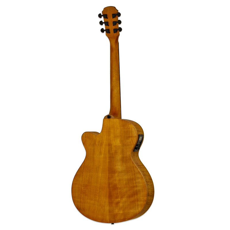 Aria FET - F2 Electro Acoustic Guitar - Musical Instrument Warehouse