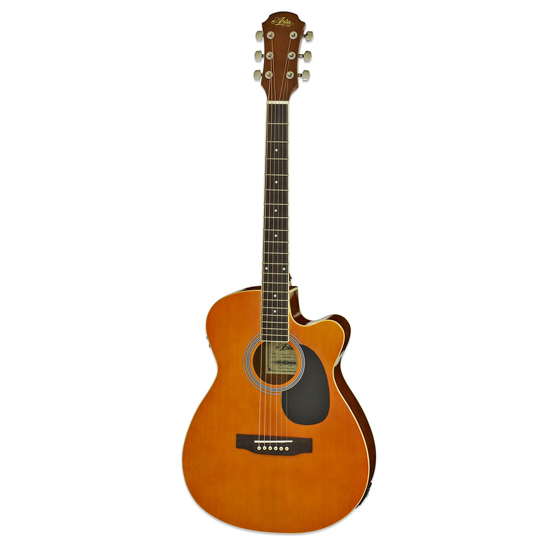 Aria AFN-15CE Acoustic Electric Guitar W/Cutaway EQ - Musical Instrument Warehouse
