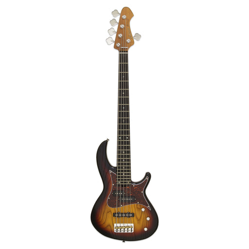 Aria Pro II 313-MK2/5-Detroit Electric Bass Guitar 5-Strings - Musical Instrument Warehouse
