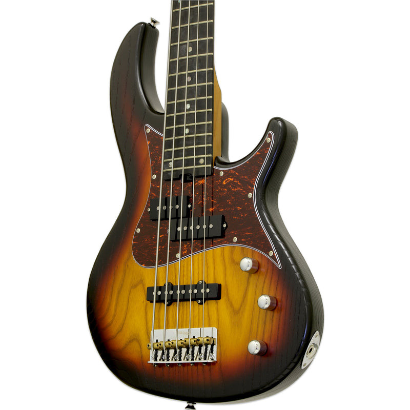 Aria Pro II 313-MK2/5-Detroit Electric Bass Guitar 5-Strings - Musical Instrument Warehouse