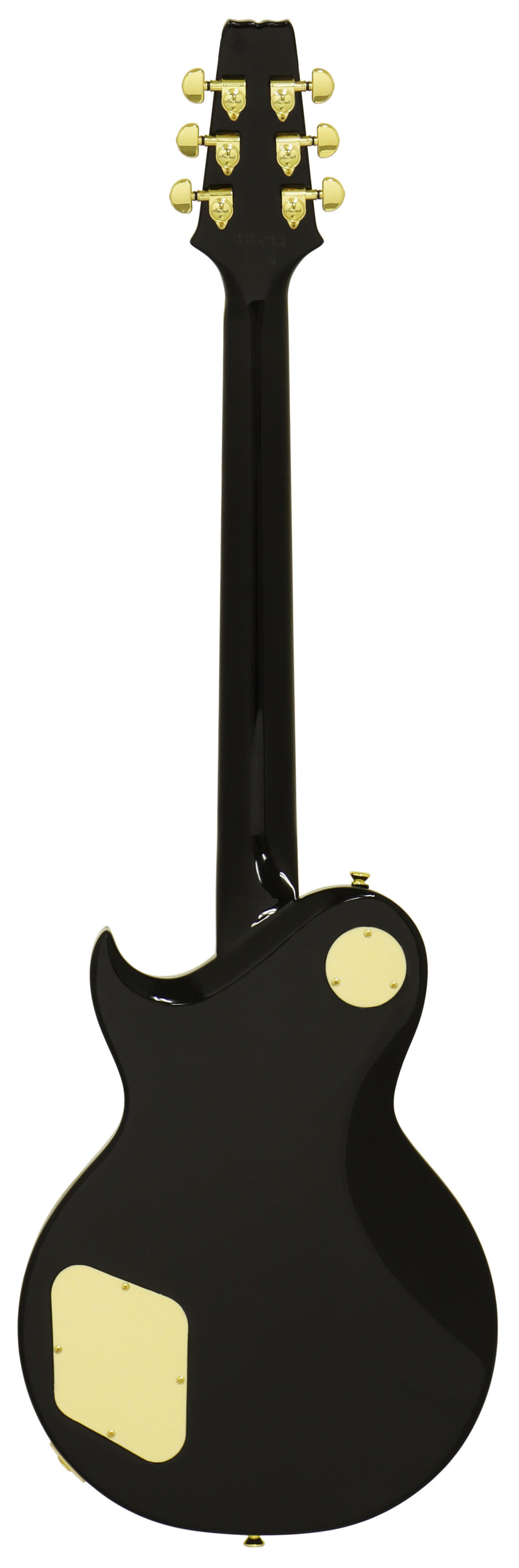 Aria Pro II PE-350PF Electric Guitar Aged Black - Musical Instrument Warehouse