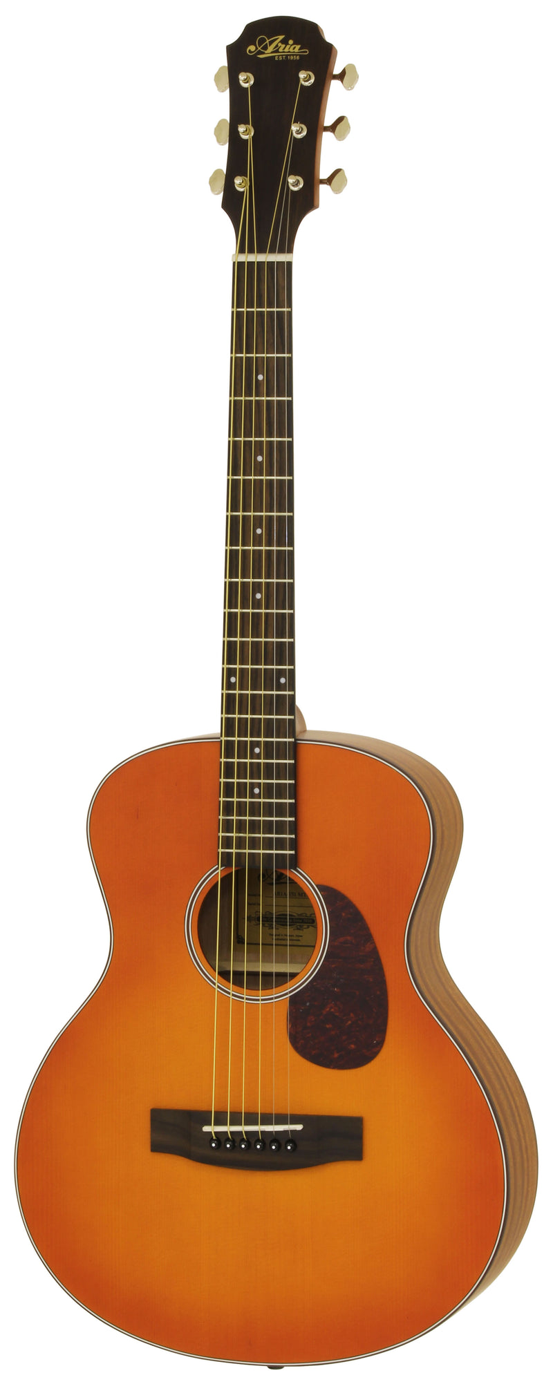 Aria 151 Lil' Acoustic Guitar - Musical Instrument Warehouse